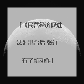 《民营经济促进法》出台后 张江有了新动作