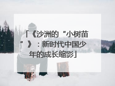 《沙洲的“小树苗”》：新时代中国少年的成长缩影
