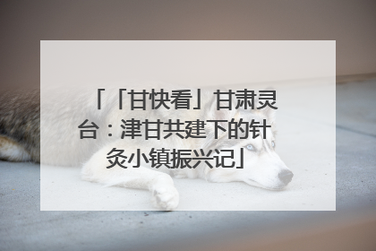 「甘快看」甘肃灵台：津甘共建下的针灸小镇振兴记