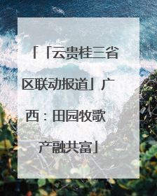 「云贵桂三省区联动报道」广西：田园牧歌 产融共富