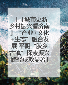 「城市更新 乡村振兴看济南」“产业+文化+生态”融合发展 平阴“胶乡古镇”探索振兴路径成效显著