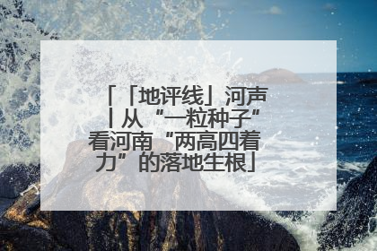 「地评线」河声丨从“一粒种子”看河南“两高四着力”的落地生根