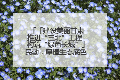 「建设美丽甘肃 推进“三北”工程 构筑“绿色长城”」民勤：厚植生态底色 筑牢绿色屏障