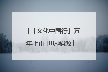 「文化中国行」万年上山 世界稻源