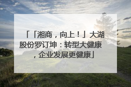 「湘商，向上！」大湖股份罗订坤：转型大健康，企业发展更健康