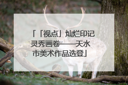 「视点」灿烂印记 灵秀画卷——天水市美术作品选登