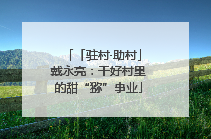 「驻村·助村」戴永亮：干好村里的甜“猕”事业
