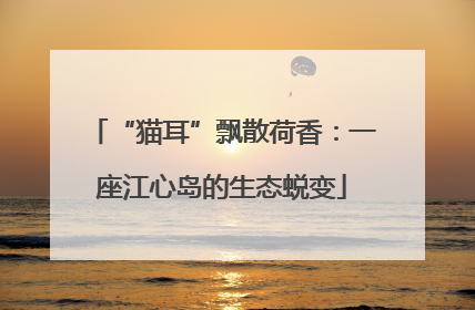 “猫耳”飘散荷香：一座江心岛的生态蜕变