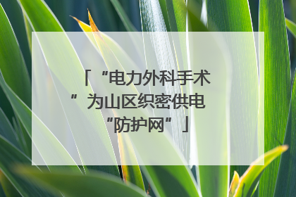 “电力外科手术”为山区织密供电“防护网”