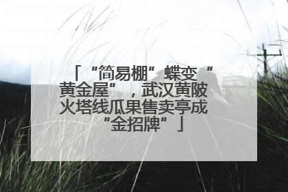 “简易棚”蝶变“黄金屋”，武汉黄陂火塔线瓜果售卖亭成“金招牌”