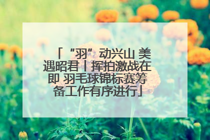 “羽”动兴山 美遇昭君丨挥拍激战在即 羽毛球锦标赛筹备工作有序进行