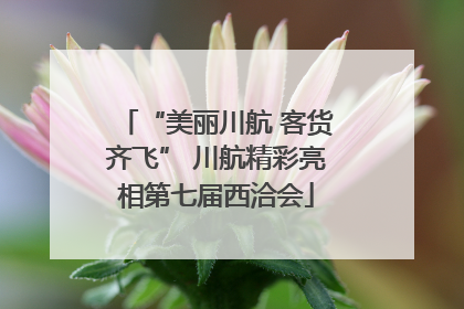 “美丽川航 客货齐飞” 川航精彩亮相第七届西洽会