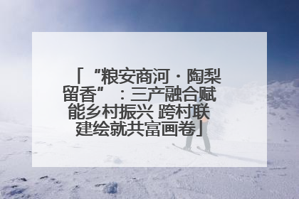 “粮安商河・陶梨留香”：三产融合赋能乡村振兴 跨村联建绘就共富画卷