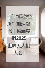 “低空经济”加速起飞！杨浦亮相2025世界无人机大会