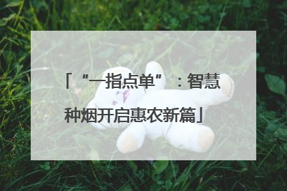 “一指点单”：智慧种烟开启惠农新篇