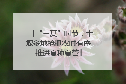 “三夏”时节，十堰多地抢抓农时有序推进夏种夏管