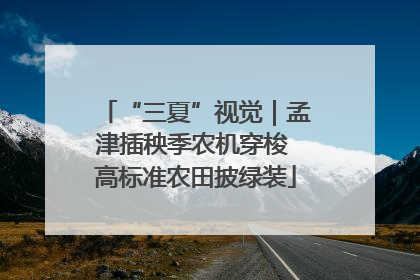 “三夏”视觉｜孟津插秧季农机穿梭 高标准农田披绿装