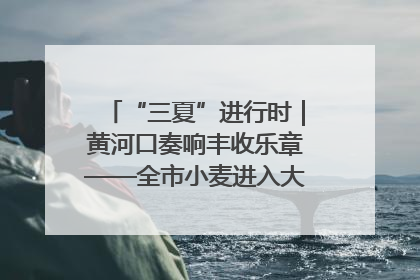 “三夏”进行时｜黄河口奏响丰收乐章——全市小麦进入大面积收获高峰期