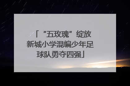 “五玫瑰”绽放 新城小学混编少年足球队勇夺四强