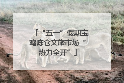 “五一”假期宝鸡陈仓文旅市场“热力全开”