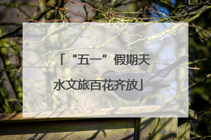 “五一”假期天水文旅百花齐放