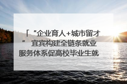 “企业育人+城市留才” 宜宾构建全链条就业服务体系促高校毕业生就业｜您牵挂的四川