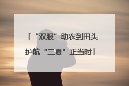 “双服”助农到田头 护航“三夏”正当时