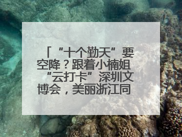 “十个勤天”要空降？跟着小楠姐“云打卡”深圳文博会，美丽浙江同步直播