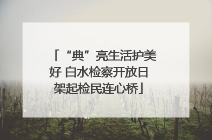 “典”亮生活护美好 白水检察开放日架起检民连心桥