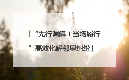 “先行调解＋当场履行”高效化解邻里纠纷