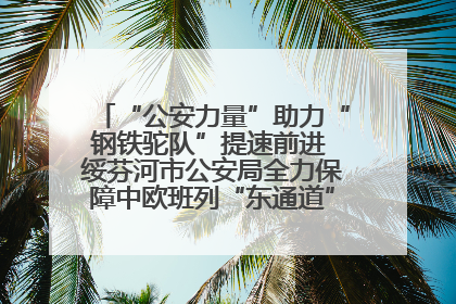 “公安力量”助力“钢铁驼队”提速前进 绥芬河市公安局全力保障中欧班列“东通道”绥芬河隧道贯通