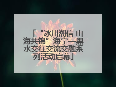 “冰川潮信 山海共锦”海宁—黑水交往交流交融系列活动启幕
