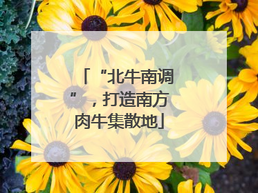 “北牛南调”，打造南方肉牛集散地