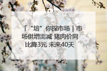 “培”你探市场｜市场供增需减 猪肉价同比降3元 未来40天便宜猪肉敞开吃