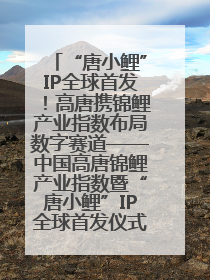 “唐小鲤”IP全球首发！高唐携锦鲤产业指数布局数字赛道——中国高唐锦鲤产业指数暨“唐小鲤”IP全球首发仪式在杭州举行