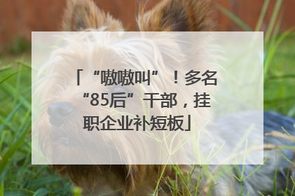 “嗷嗷叫”！多名“85后”干部，挂职企业补短板