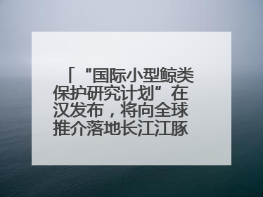 “国际小型鲸类保护研究计划”在汉发布，将向全球推介落地长江江豚保护经验