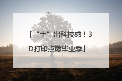“土”出科技感！3D打印点燃毕业季