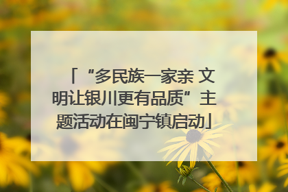 “多民族一家亲 文明让银川更有品质”主题活动在闽宁镇启动