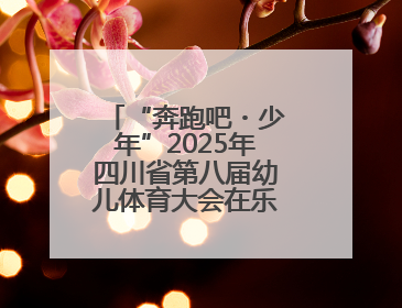 “奔跑吧・少年”2025年四川省第八届幼儿体育大会在乐山圆满举行