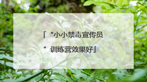 “小小禁毒宣传员”训练营效果好