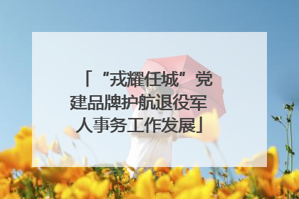 “戎耀任城”党建品牌护航退役军人事务工作发展