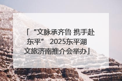 “文脉承齐鲁 携手赴东平” 2025东平湖文旅济南推介会举办