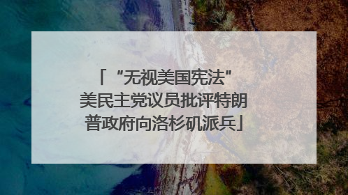 “无视美国宪法” 美民主党议员批评特朗普政府向洛杉矶派兵