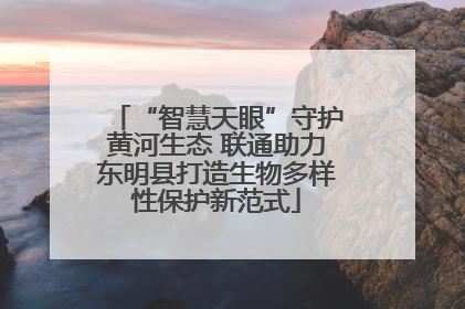 “智慧天眼”守护黄河生态 联通助力东明县打造生物多样性保护新范式