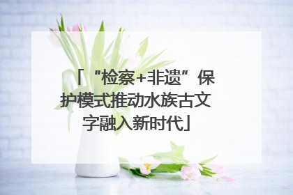 “检察+非遗”保护模式推动水族古文字融入新时代