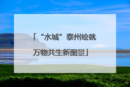 “水城”泰州绘就万物共生新图景