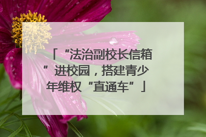“法治副校长信箱”进校园，搭建青少年维权“直通车”