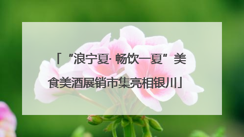 “浪宁夏· 畅饮一夏”美食美酒展销市集亮相银川