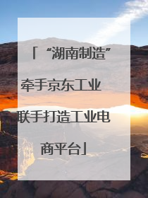 “湖南制造”牵手京东工业 联手打造工业电商平台